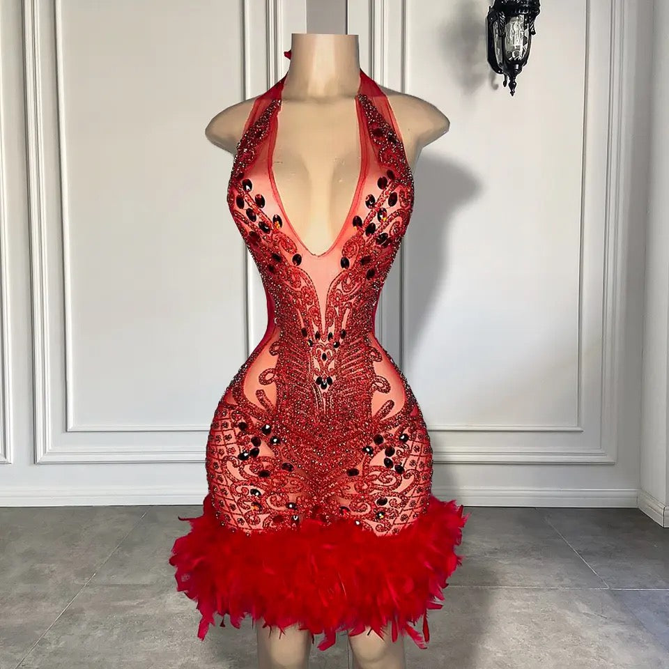 “RED ROBIN” dress